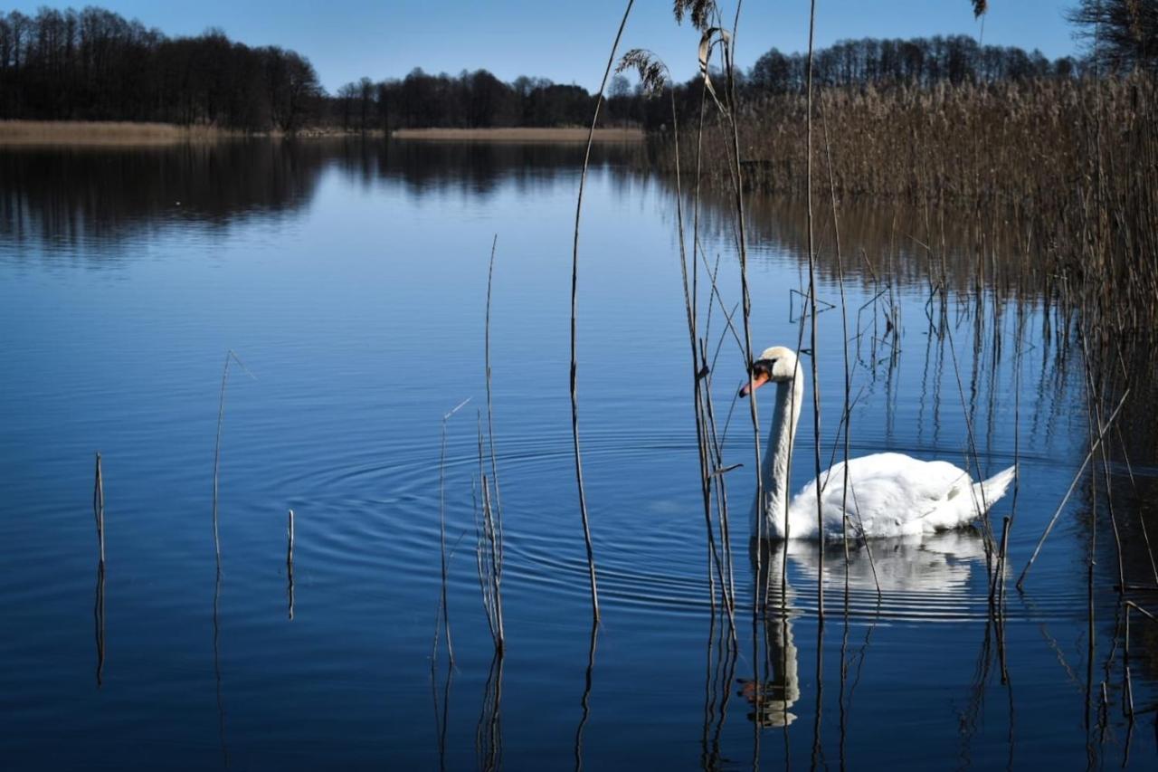Pokoje Lotnik Nad Jeziorem Mrągowo Exterior foto